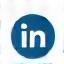 LinkedIn icon